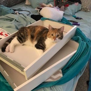 Meet your Posher, Chelsey